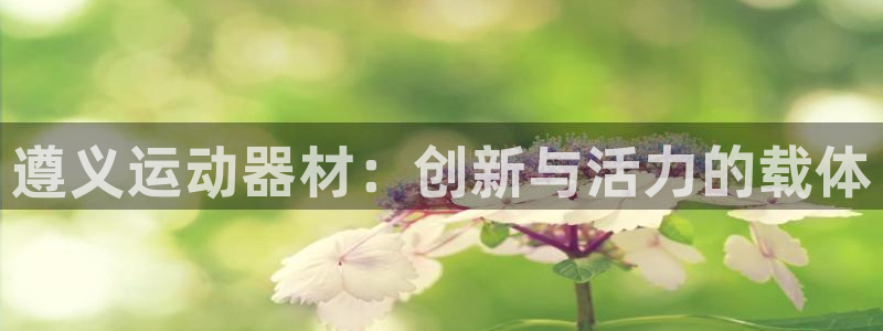 usdt erc20：遵义运动器材：创新与活力的载体