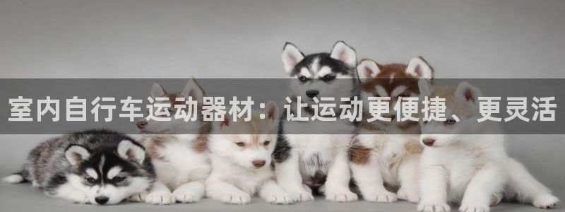 usdt交易id发给别人安全吗：室内自行车运动器材：让运动更