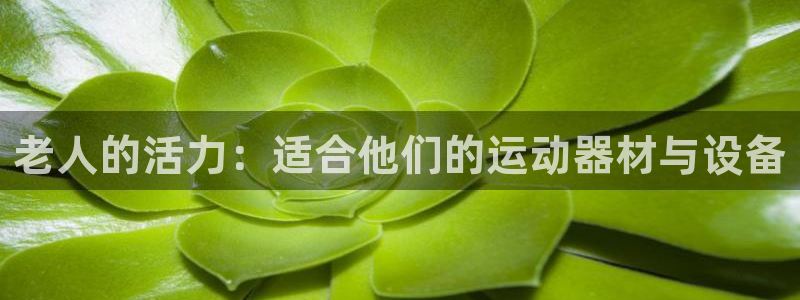 usdt钱包转钱包：老人的活力：适合他们的运动器材与设备