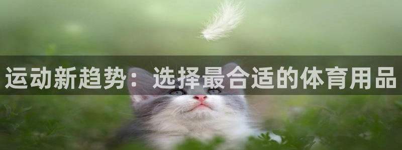 usdt币图片大全：运动新趋势：选择最合适的体育用品