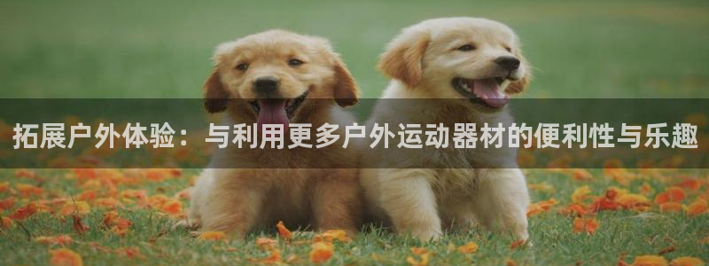 钱包里的usdt