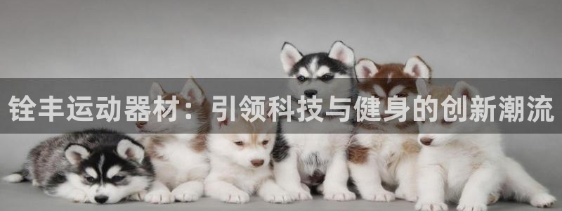 usdt地址备注怎么填：铨丰运动器材：引领科技与健身的创新潮