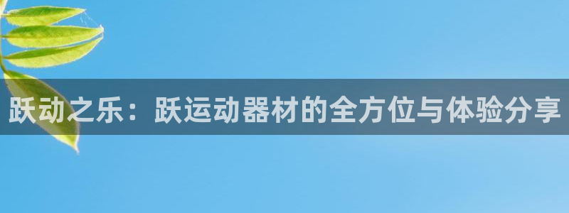 USDT钱包官网站：跃动之乐：跃运动器材的全方位与体验分享