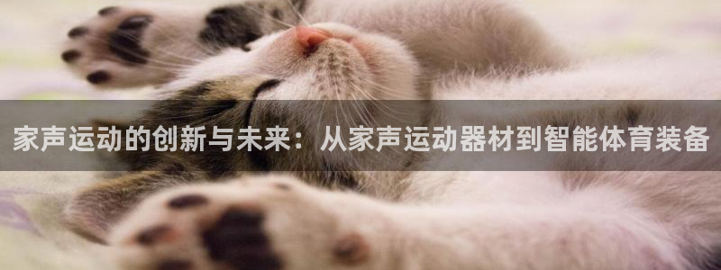 usdt流出：家声运动的创新与未来：从家声运动器材到智能体育
