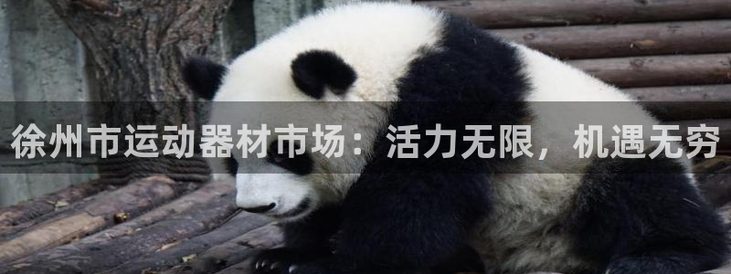 usdt地址在哪里看：徐州市运动器材市场：活力无限，机遇无穷